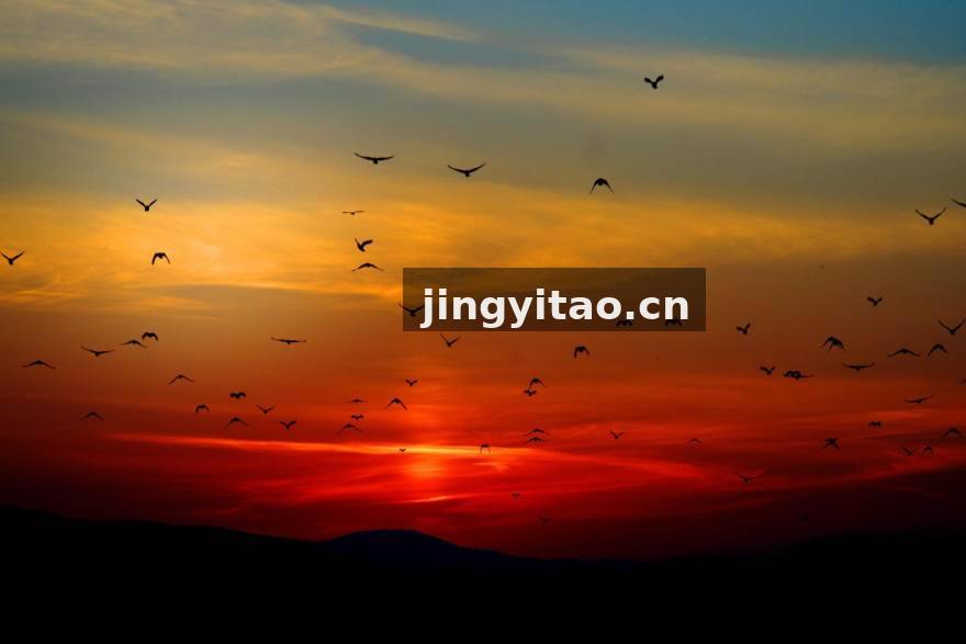 YY体育赛事分析预测服务配图